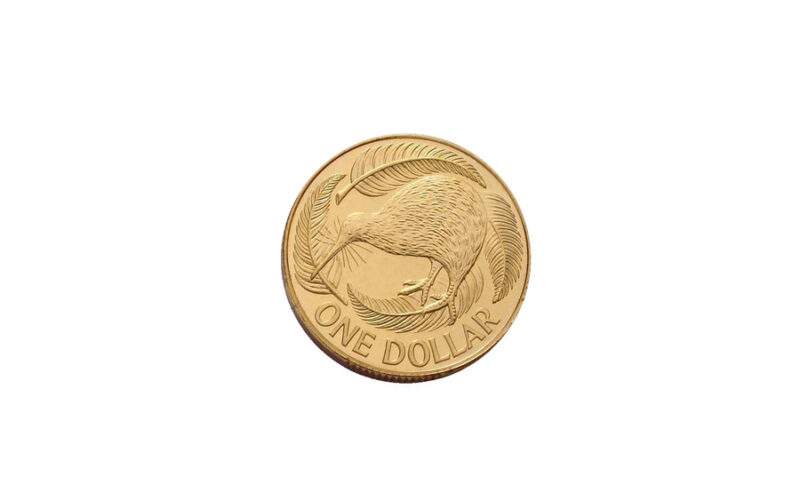 Payment NZD